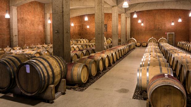 Weingut Tement - Image 3 Weingut Tement - Image 3